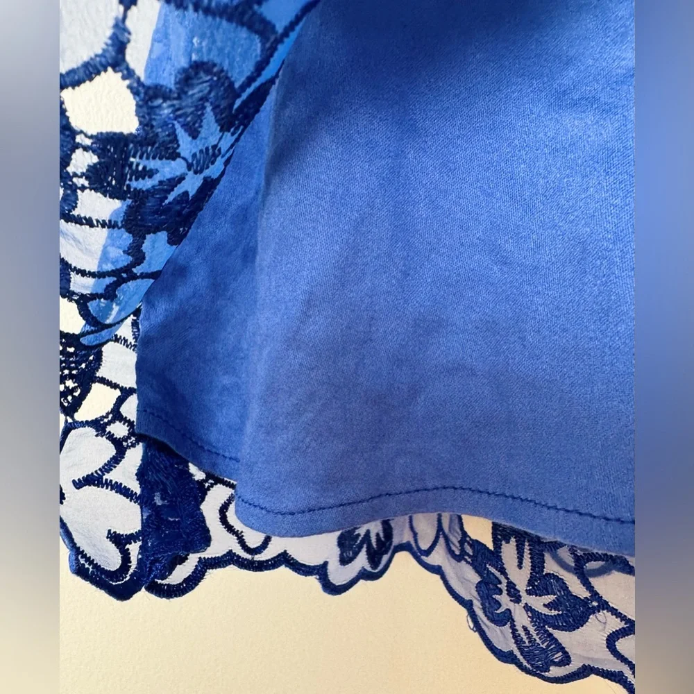 Anthropologie Blue Lace Mini Dress - Picture 11 of 14